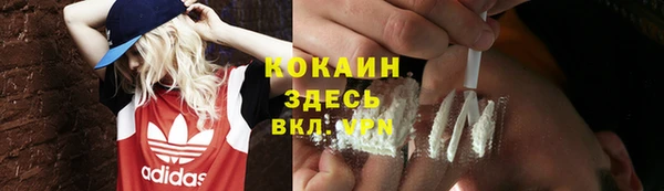 метадон Елизово