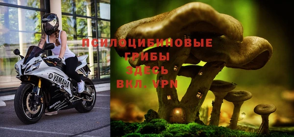 кокаин Ельня