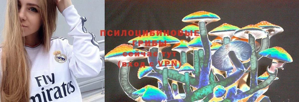 метадон Елизово