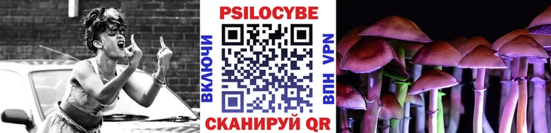 Купить закладки  Галич  Галлюциногенные грибы прущие грибы 