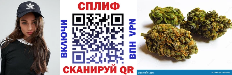 Купить закладки  Галич  Марихуана марихуана 